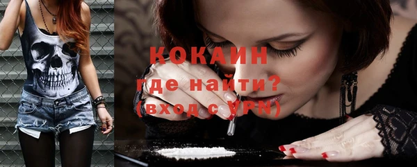 индика Баксан