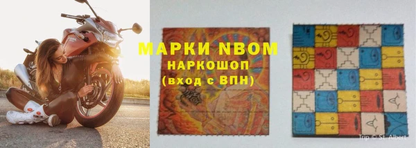 индика Баксан