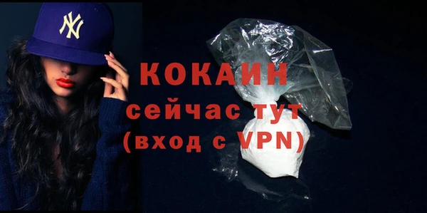индика Баксан